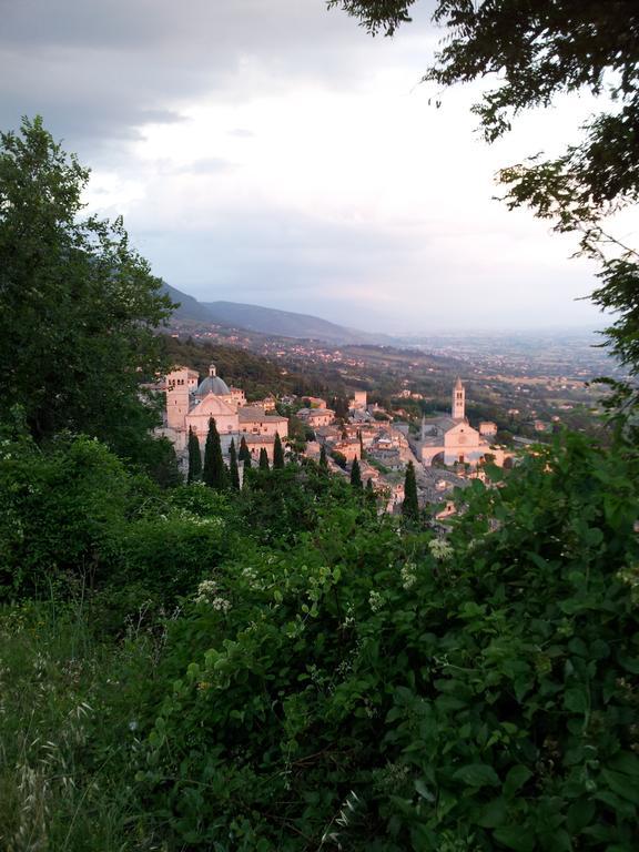 La Corte Degli Angeli Locazioni Turistiche Ассізі Екстер'єр фото